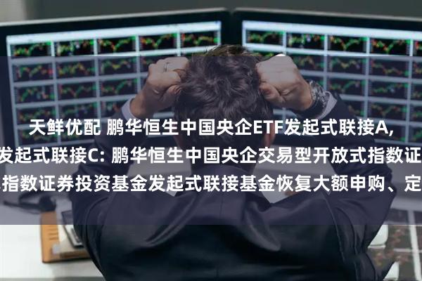 天鲜优配 鹏华恒生中国央企ETF发起式联接A,鹏华恒生中国央企ETF发起式联接C: 鹏华恒生中国央企交易型开放式指数证券投资基金发起式联接基金恢复大额申购、定期定额投资业务的公告