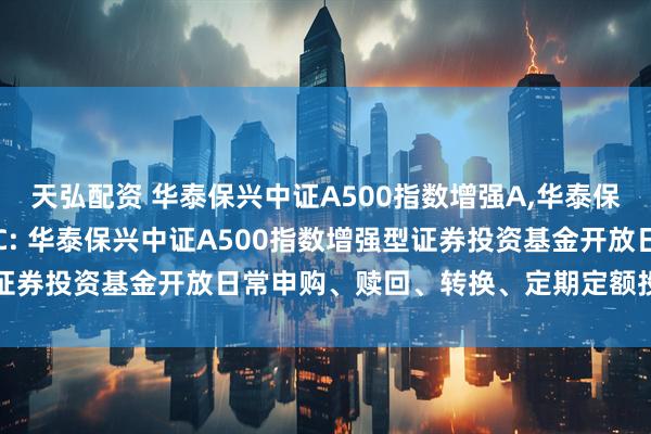 天弘配资 华泰保兴中证A500指数增强A,华泰保兴中证A500指数增强C: 华泰保兴中证A500指数增强型证券投资基金开放日常申购、赎回、转换、定期定额投资业务公告