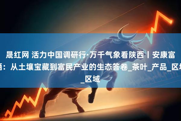 晟红网 活力中国调研行·万千气象看陕西丨安康富硒：从土壤宝藏到富民产业的生态答卷_茶叶_产品_区域